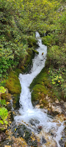 IMG-20221019-WA0018