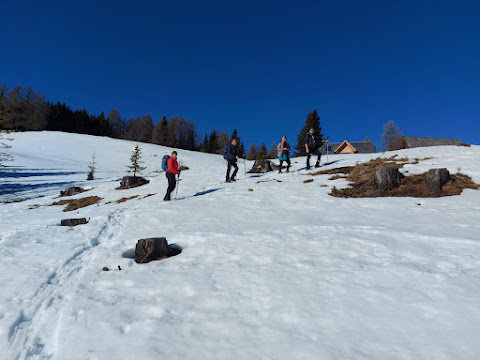 IMG-20240203-WA0042