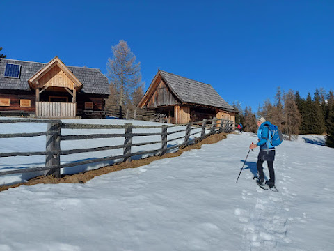 IMG-20240203-WA0041