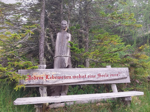 IMG-20230916-WA0041