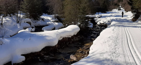 Schneeschuh 2022-03-14 10.21.34