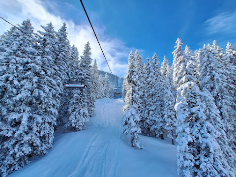 IMG-20240224-WA0042