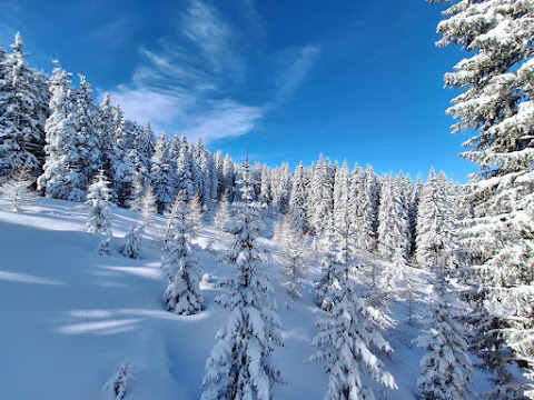 IMG-20240224-WA0041